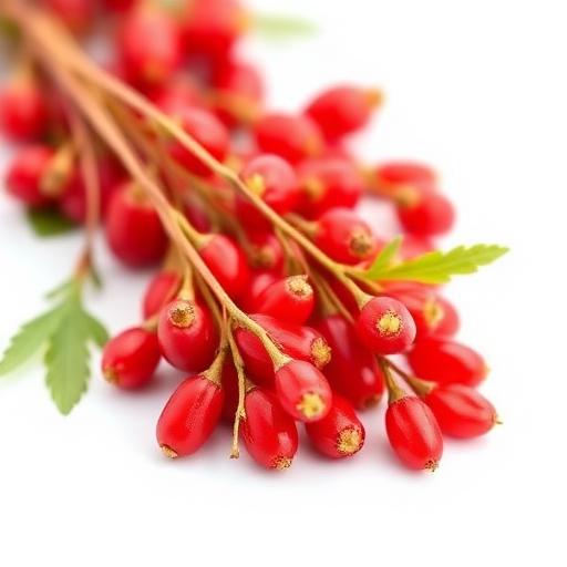 Goji Berries