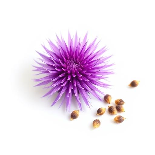 Milk Thistle
