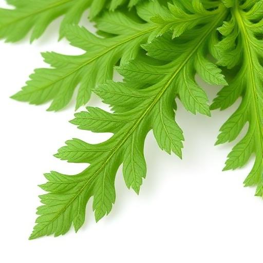 Nettle Leaf