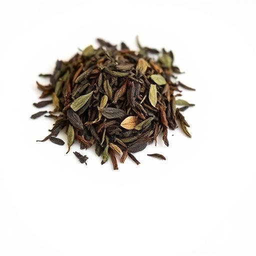 Yerba Mate